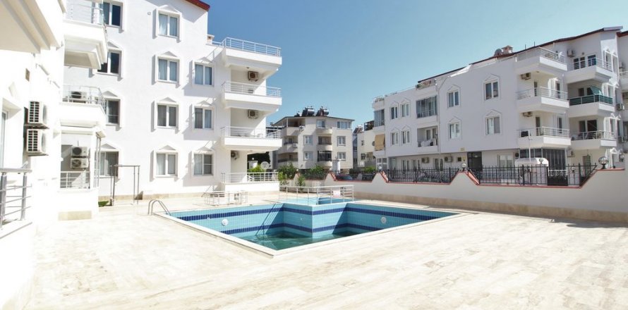 4+1 Penthäuser in Didim, Aydin, Türkei Nr. 165486