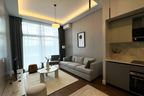 1+1 Wohnung  in Istanbul, Türkei Nr. 178246 - 11