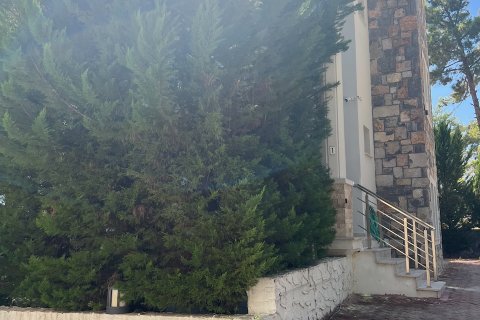 Villa for sale in Gocek, Mugla, Turkey, 4 bedrooms, 350m2, No. 194206 – photo 14