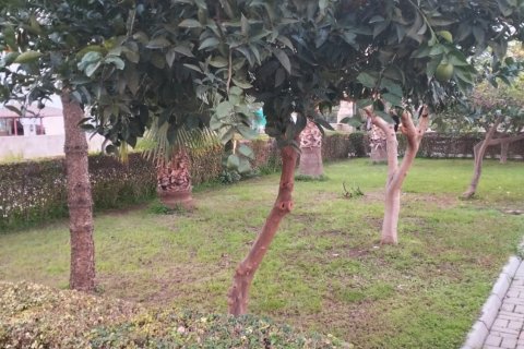 Daire 2+1 Mahmutlar, Antalya, Türkiye №183882 - 4