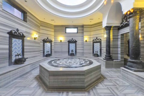 1+1 Lägenhet i Oba, Antalya, Turkiet Nr. 161338 - 9