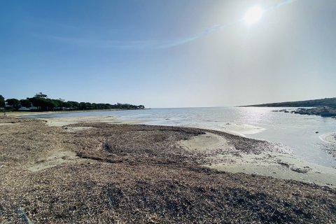 3+1 Villa in Didim, Aydin, Türkei Nr. 165398 - 3