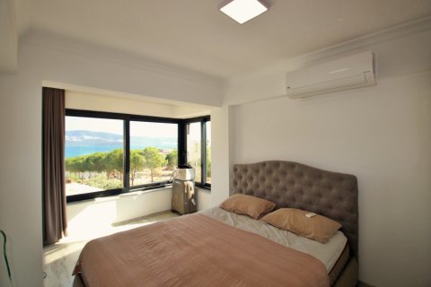 3+1 Villa i Didim, Aydin, Tyrkiet Nr. 170047 - 10