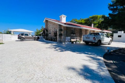 i Datca, Mugla, Turkiet Nr. 211732 - 17