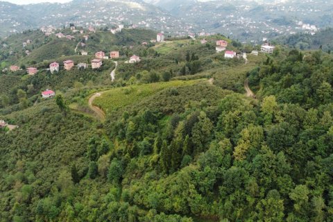 Arsa Arsin, Trabzon, Türkiye №186775 - 10