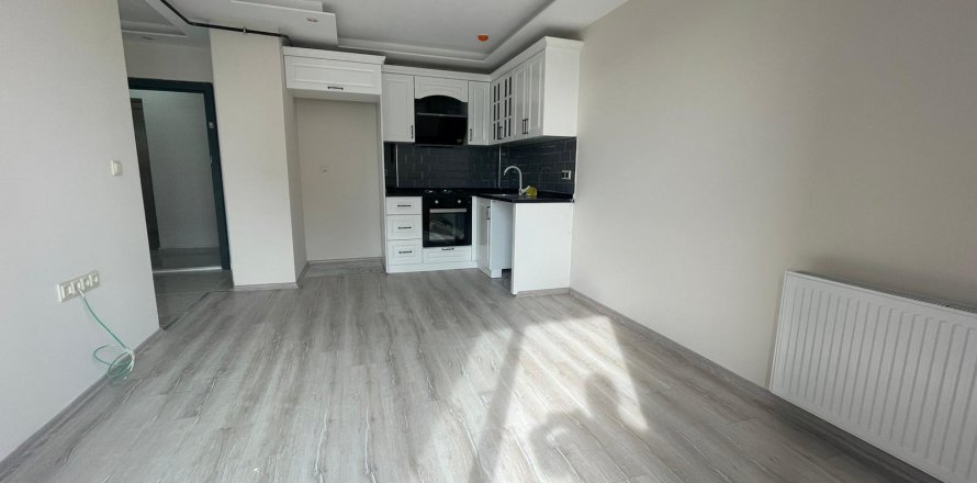 1+1 Lägenhet i Mersin, Turkiet Nr. 163205