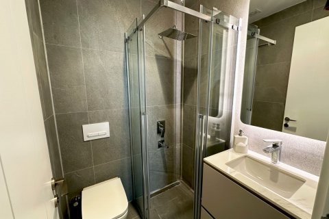 1+1 Wohnung  in Istanbul, Türkei Nr. 178246 - 15