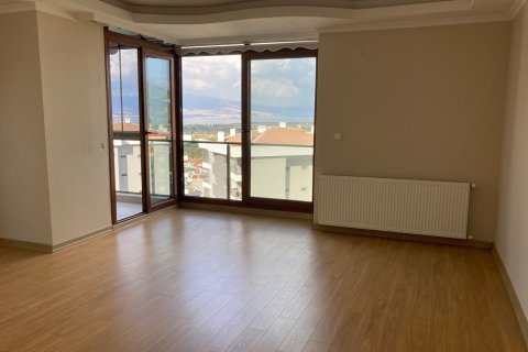 3+1 Leilighet  i Izmir, Tyrkia Nr. 185305 - 12