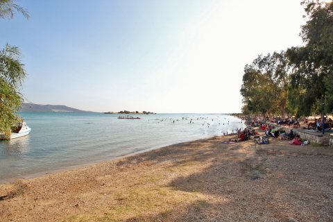 3+1 Villa i Didim, Aydin, Tyrkiet Nr. 170047 - 26