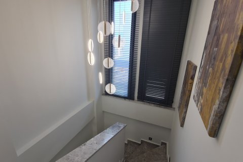   in Kusadasi, Aydin, Türkei Nr. 167735 - 7