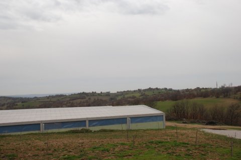 Tom i Kirklareli, Tyrkiet Nr. 184419 - 20