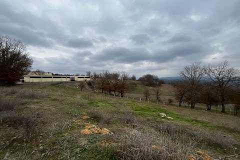 Land  in Kirklareli, Türkei Nr. 184419