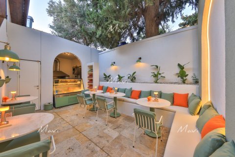Commercial property for sale in Kalkan, Antalya, Turkey, 6 bedrooms, 225m2, No. 169576 – photo 15