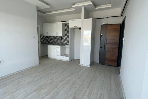 1+1 Wohnung  in Mersin, Türkei Nr. 163293