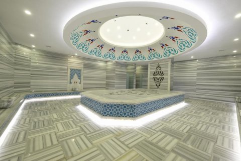 1+1 Lägenhet i Alanya, Antalya, Turkiet Nr. 192260 - 9