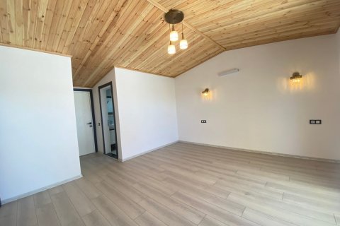 3+1 Villa in Didim, Aydin, Türkei Nr. 165302 - 18