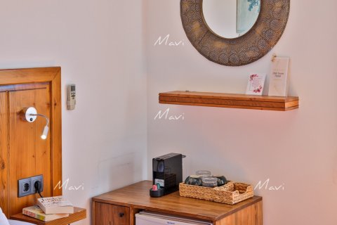 Commercial property for sale in Kalkan, Antalya, Turkey, 6 bedrooms, 225m2, No. 169576 – photo 7