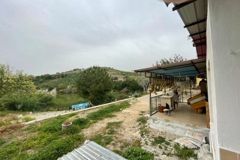 Tom  i Mersin, Tyrkiet Nr. 168478 - 15
