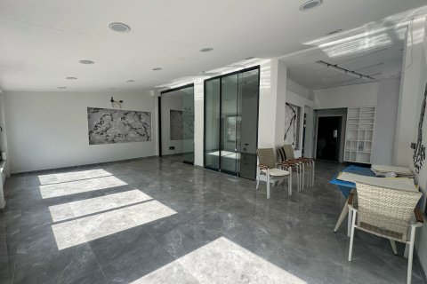Kontor i Alanya, Antalya, Turkiet Nr. 188010 - 2