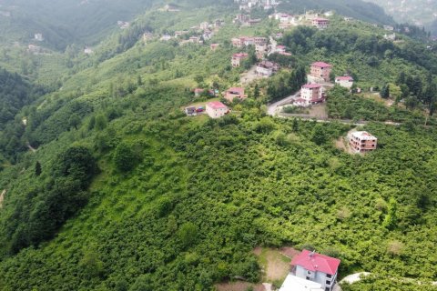 8+2 Villa i Arsin, Trabzon, Tyrkiet Nr. 167679 - 4