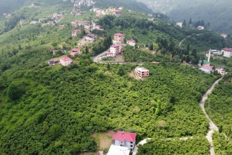 8+2 Villa i Arsin, Trabzon, Tyrkiet Nr. 167679 - 3