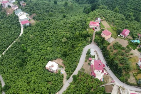 8+2 Villa i Arsin, Trabzon, Tyrkiet Nr. 167679 - 7