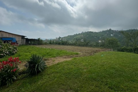 8+2 Villa i Arsin, Trabzon, Tyrkiet Nr. 167679 - 19