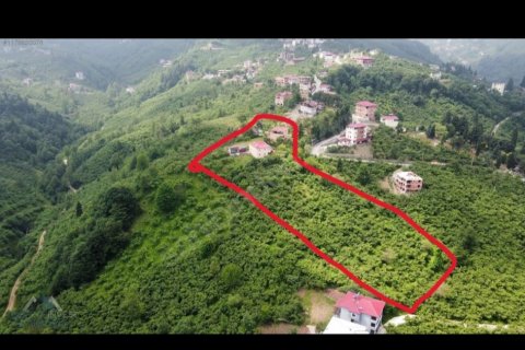 8+2 Villa i Arsin, Trabzon, Tyrkiet Nr. 167679 - 20