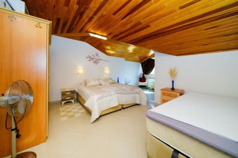 Leilighet i Alanya, Antalya, Tyrkia Nr. 165680 - 24