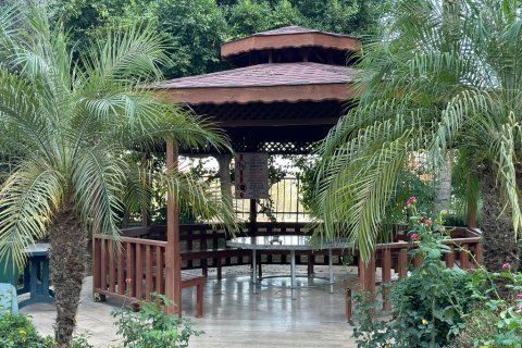 Wohnung in Avsallar, Antalya, Türkei Nr. 165684 - 16