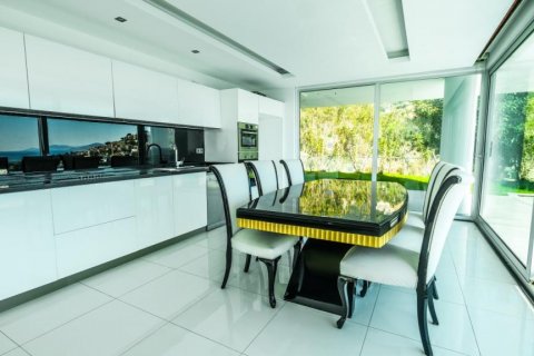Villa i Alanya, Antalya, Tyrkiet Nr. 163023 - 3