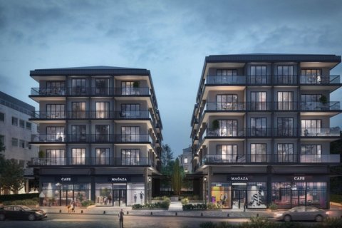 2+1 Wohnung  in Istanbul, Türkei Nr. 173443