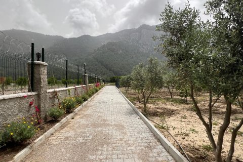 3+1 Villa in Antalya, Türkei Nr. 164637 - 9