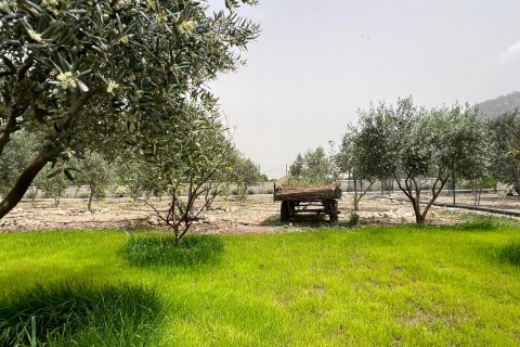 3+1 Villa in Antalya, Türkei Nr. 164637 - 8