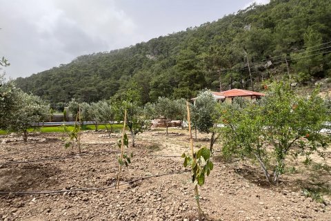 3+1 Villa in Antalya, Türkei Nr. 164637 - 7