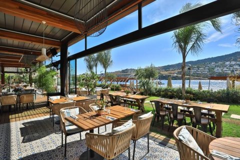 1+1 Lägenhet i Bodrum, Mugla, Turkiet Nr. 179012 - 20