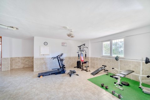 2+1 Lejlighed  i Alanya, Antalya, Tyrkiet Nr. 174399 - 3