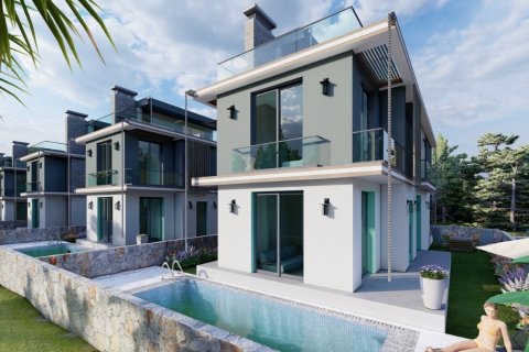 Villa №170101