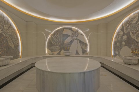 1+1 Leilighet  i Alanya, Antalya, Tyrkia Nr. 176996 - 23
