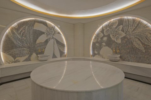 1+1 Leilighet  i Alanya, Antalya, Tyrkia Nr. 176996 - 18