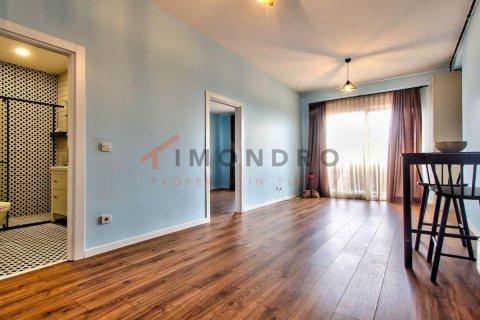 Продажа квартиры  в Бешикташе, Стамбуле, Турция 1+1, 60м2, №188351 – фото 8