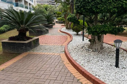 1+1 Lägenhet i Alanya, Antalya, Turkiet Nr. 43236 - 13