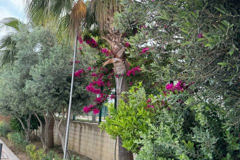 1+1 Lägenhet i Alanya, Antalya, Turkiet Nr. 43236 - 17