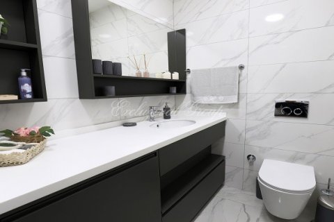 2+1 Wohnung in Istanbul, Türkei Nr. 179086 - 10