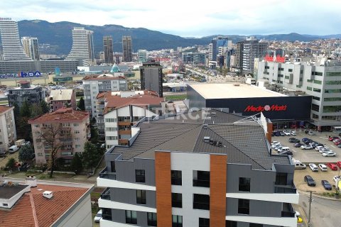 3+1 Lägenhet  i Bursa, Turkiet Nr. 182147 - 2