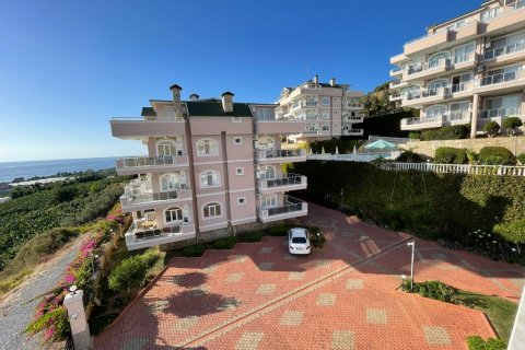 Daire   Demirtaş, Alanya, Antalya, Türkiye №163029 - 25