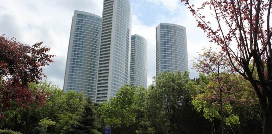 8+2 Wohnung  in Istanbul, Türkei Nr. 172984
