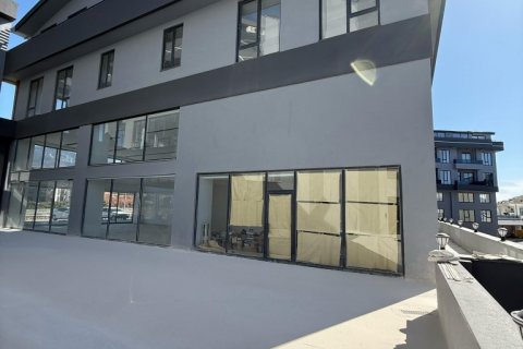 Kommersiella fastigheter i Oba, Antalya, Turkiet Nr. 192655 - 4