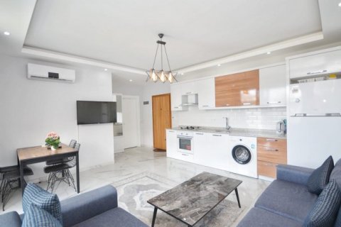 1+1 Wohnung  in Alanya, Antalya, Türkei Nr. 170387 - 10