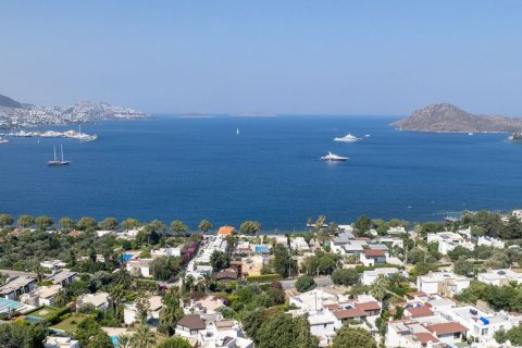 5+1 Villa  i Yalikavak, Mugla, Turkiet Nr. 189323 - 18